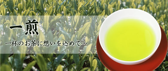 一煎 一杯のお茶に想いを込めて… 狭山茶 一煎 通販